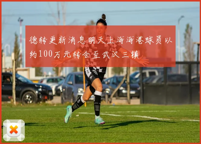 德转更新消息明天上海海港球员以约100万元转会至武汉三镇