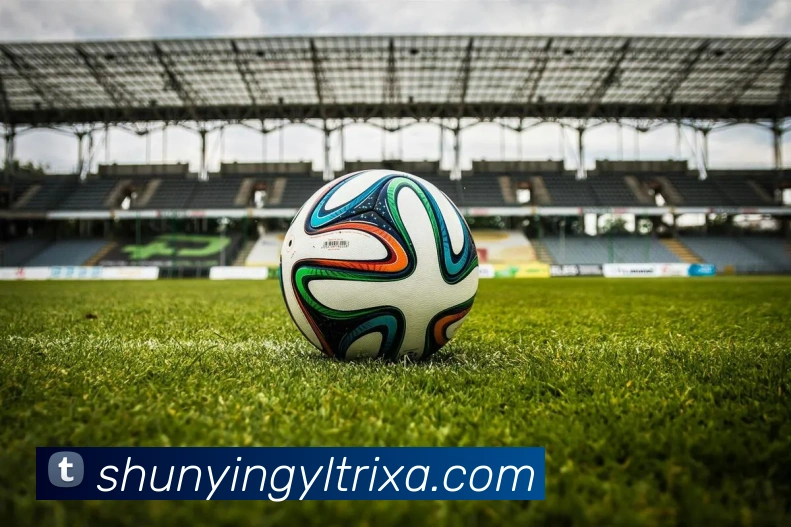 顺盈娱乐发展历程