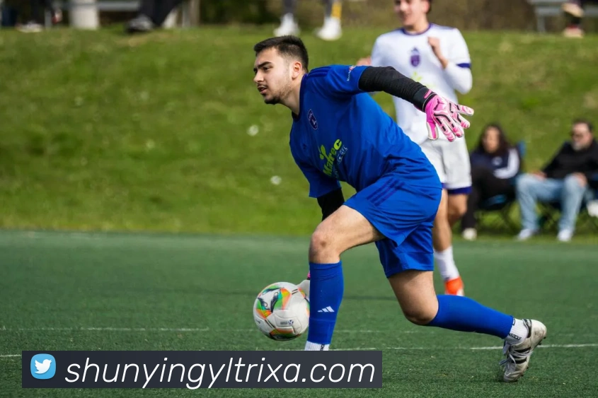 库里三分雨狂飙六记勇士官方评选最佳球员荣耀归属他